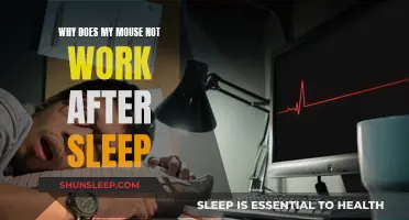 Troubleshooting a Non-Responsive Mouse After Sleep Mode