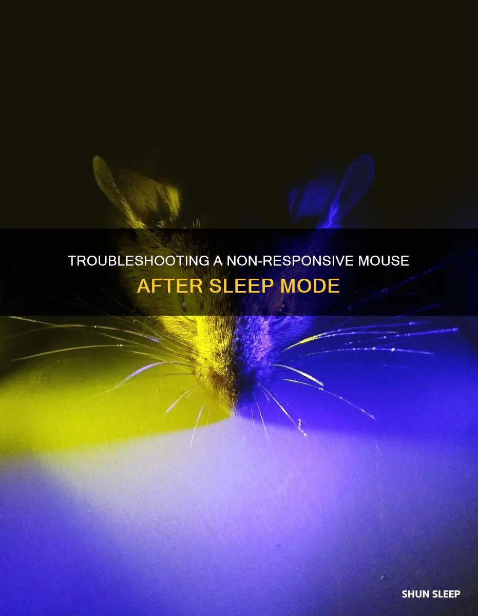 why does my mouse not work after sleep