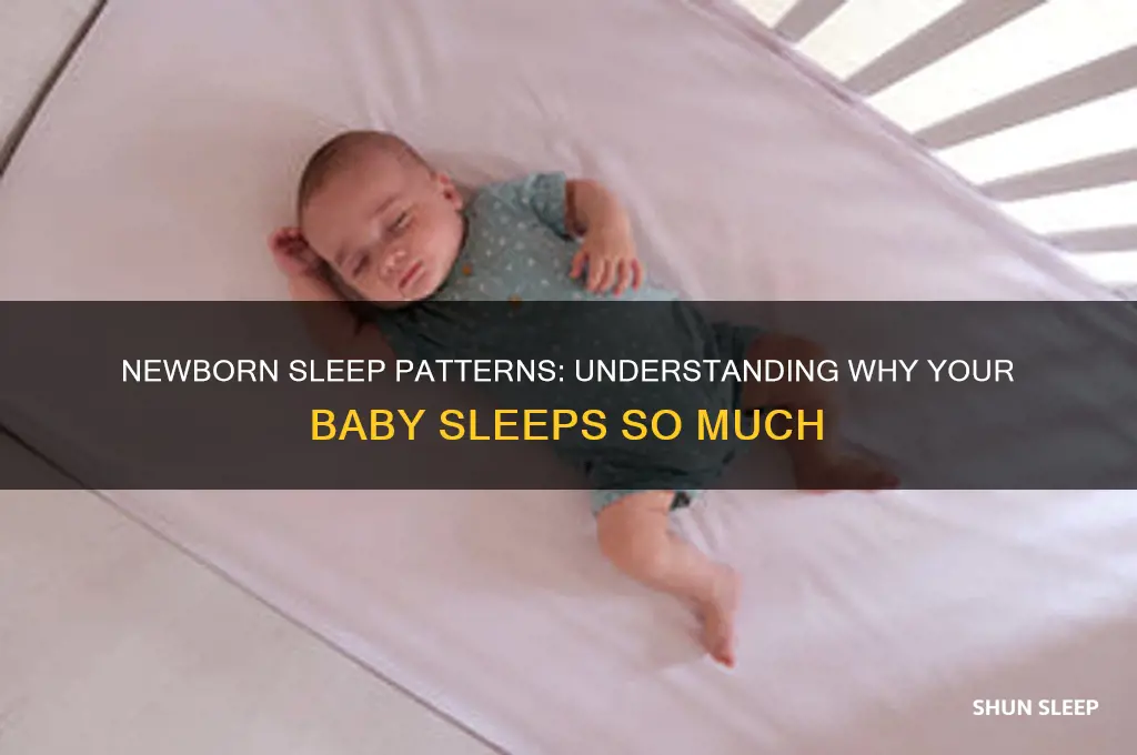 why does my newborn baby sleep all the time