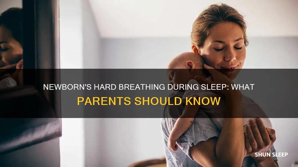 why does my newborn breathe hard while sleeping