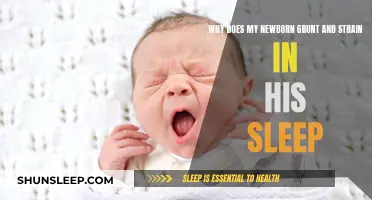 Newborn Sleep Grunting: What Parents Need to Know