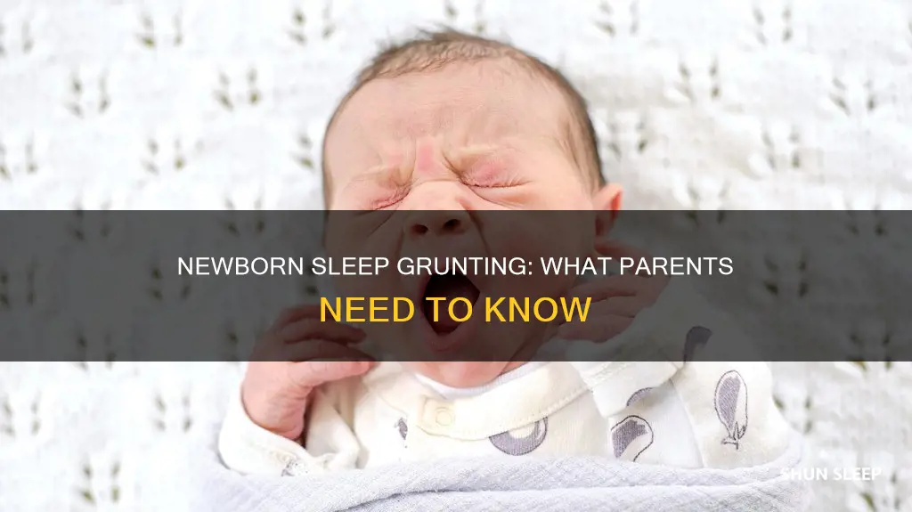 why does my newborn grunt and strain in his sleep