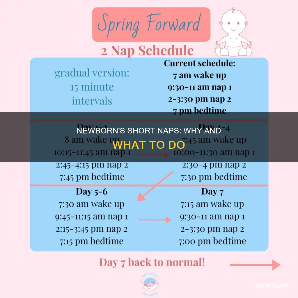 why does my newborn only sleep for 10 minutes