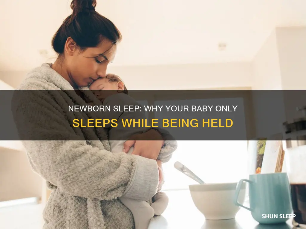why does my newborn only sleep when held