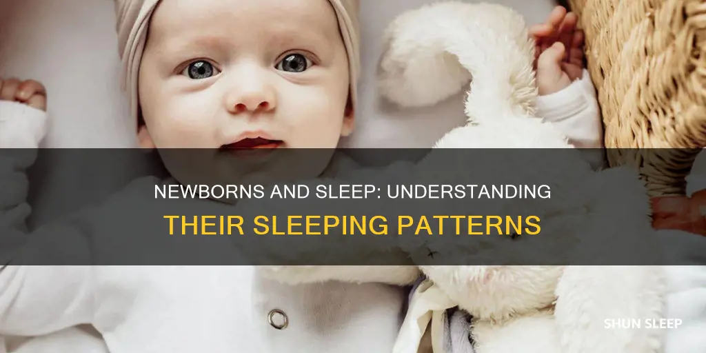 why does my newborn sleep a lot