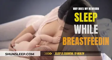 Breastfeeding Babies: Why Do They Always Fall Asleep?