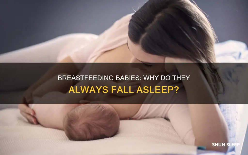 why does my newborn sleep while breastfeeding
