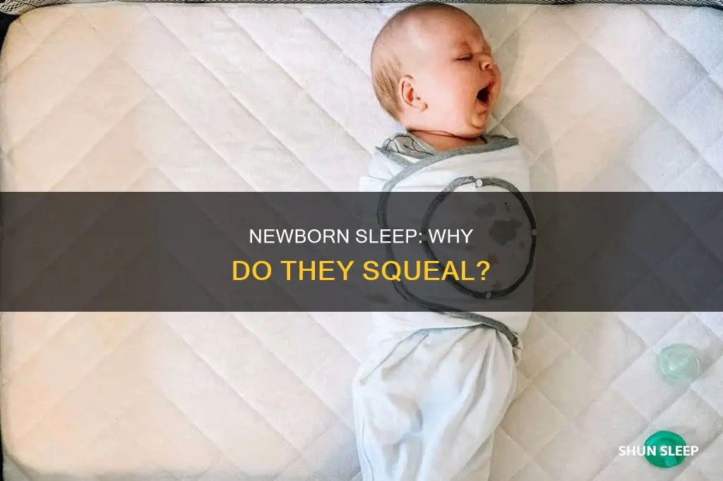 why does my newborn squeal in her sleep