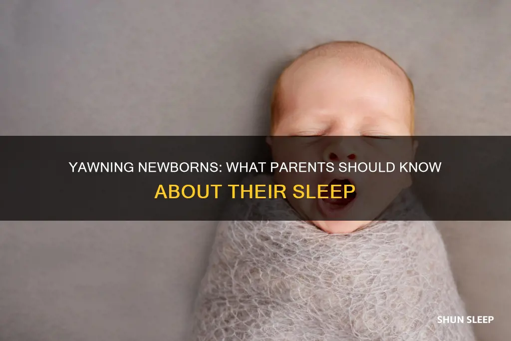 why does my newborn yawn while he is sleeping
