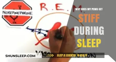 Understanding Nocturnal Penile Tumescence: Why Your Penis Gets Stiff During Sleep