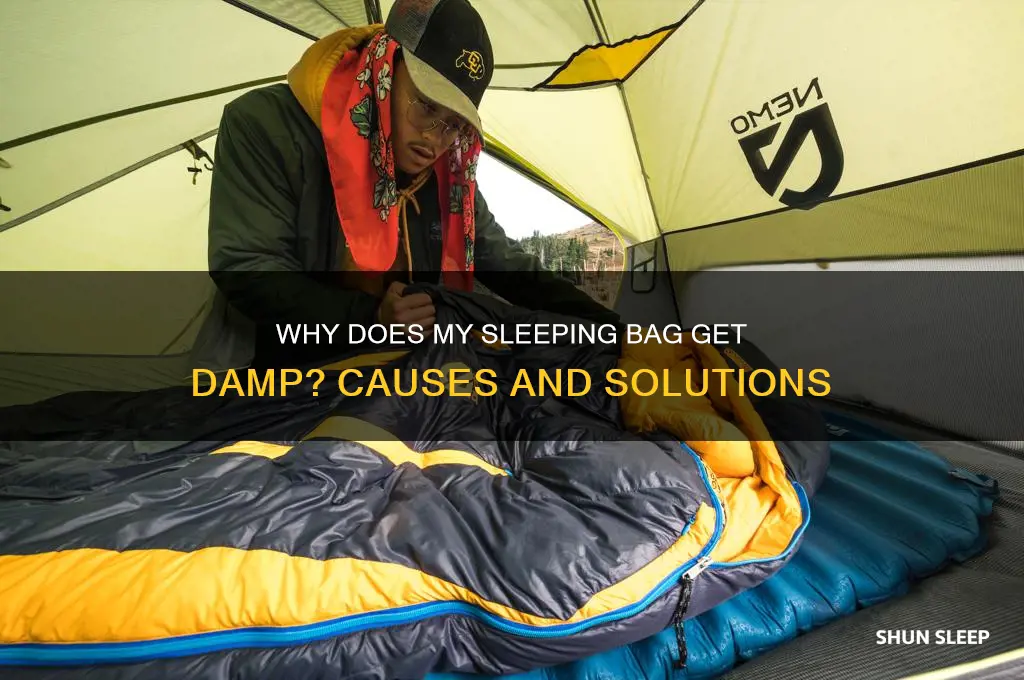 why does my sleeping bag get damp
