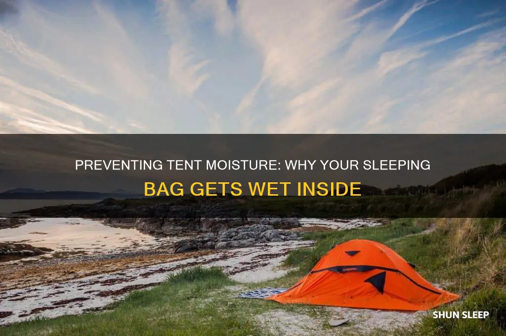 why does my tent get wet under my sleeping bag