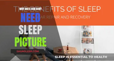 Sleep: The Body's Recharge for Optimal Functioning