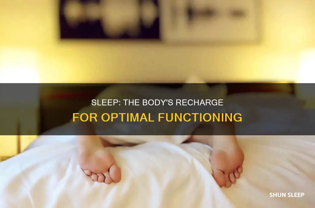 why does our body need sleep picture