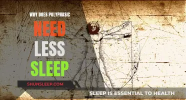 Polyphasic Sleep: Less Sleep, More Energy, Better Health