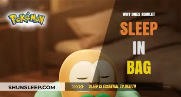 Rowlet's Sleeping Bag: Unveiling the Mystery