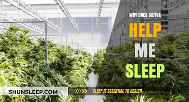Sativa for Sleep: Unlocking the Surprising Relaxation Benefits