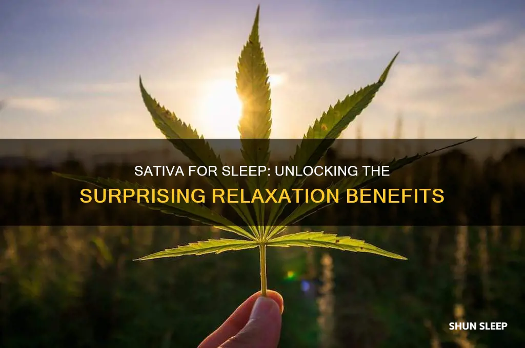 why does sativa help me sleep