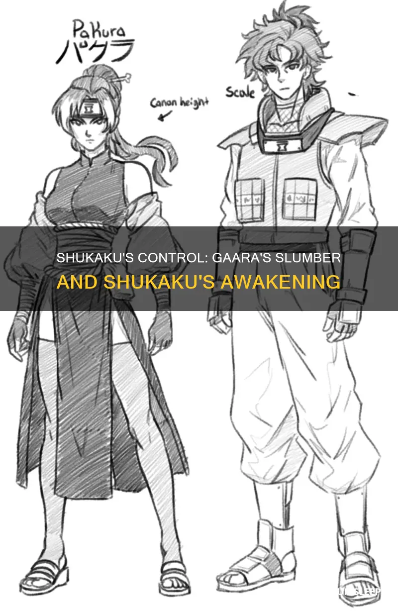 why does shukaku take over when gaara sleeps