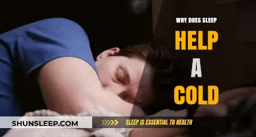 Sleep's Healing Power: How Rest Boosts Cold Recovery Naturally