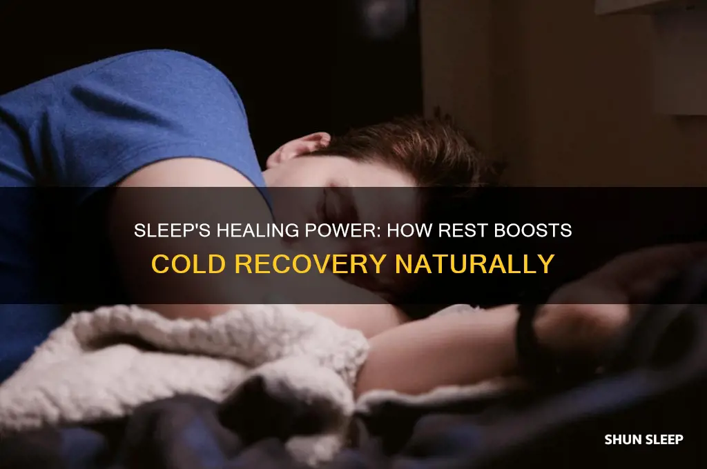 why does sleep help a cold