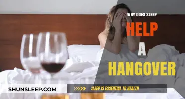 Sleep's Hangover Cure: How Rest Resets Your Body After Drinking
