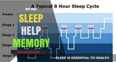 Sleep's Role in Memory Consolidation: How Rest Enhances Recall and Learning