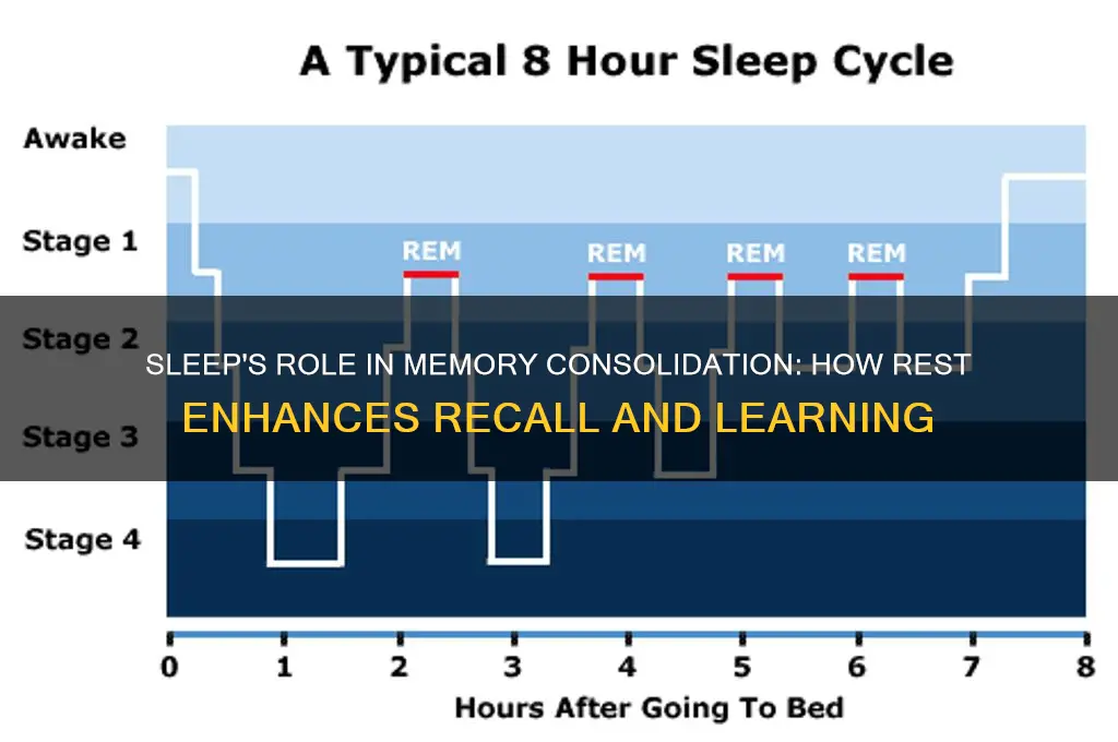 why does sleep help memory