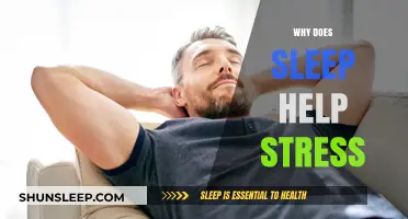 Sleep's Stress-Busting Power: How Rest Resets Your Mind and Body