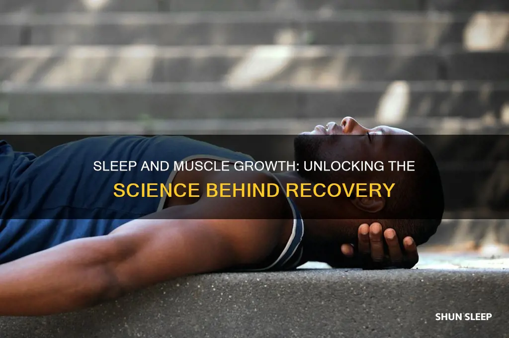 why does sleep help with muscle growth