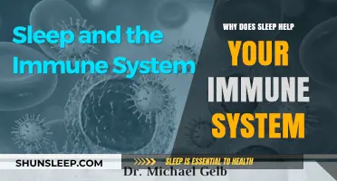 Sleep's Immune Boost: How Rest Strengthens Your Body's Defenses