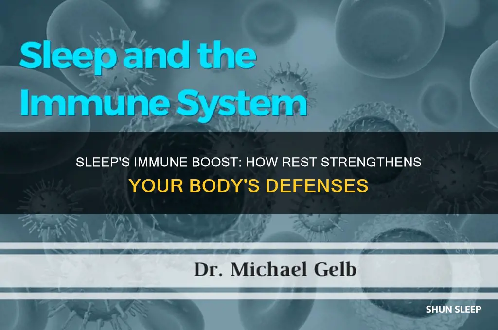 why does sleep help your immune system