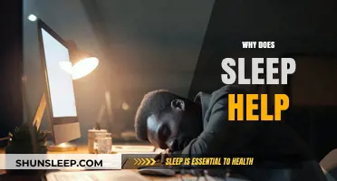 Unlocking the Power of Sleep: How Rest Boosts Health and Productivity