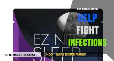 Sleep's Immune Power: How Resting Boosts Infection-Fighting Abilities