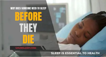 The Last Sleep: Why We Need Pre-Death Slumber