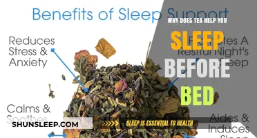 Sipping to Sleep: How Tea Promotes Restful Nights Before Bed