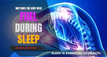 How Fuel During Sleep Benefits Your Body