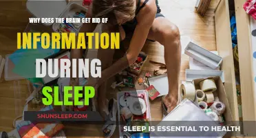 Sleep's Role in Brain Decluttering: Why We Forget During Rest