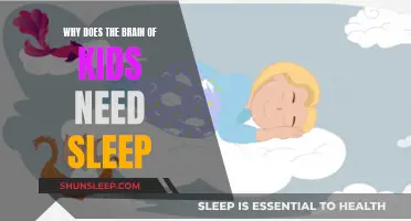 Sleep: The Developing Brain's Best Friend