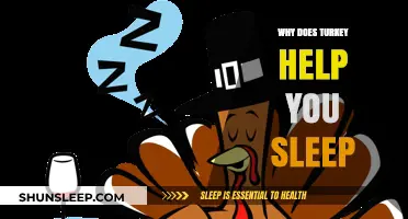 Turkey and Tryptophan: Unraveling the Sleep-Inducing Secret Behind Your Dinner
