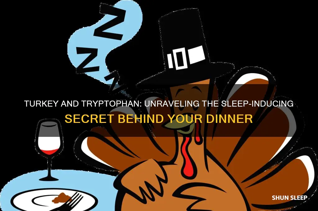 why does turkey help you sleep