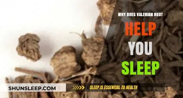 Valerian Root: Unlocking Natural Sleep Aid Secrets for Restful Nights