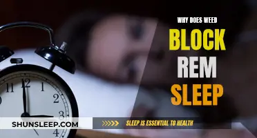 Weed and REM Sleep: The Blockage Mystery