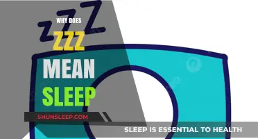 The Secret Meaning Behind Zzz in Sleep
