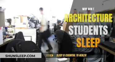 The Architecture Student's Dilemma: Sleep or Success?