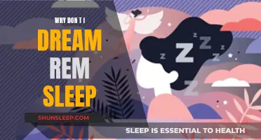 Understanding REM Sleep and the Lack of Dreams