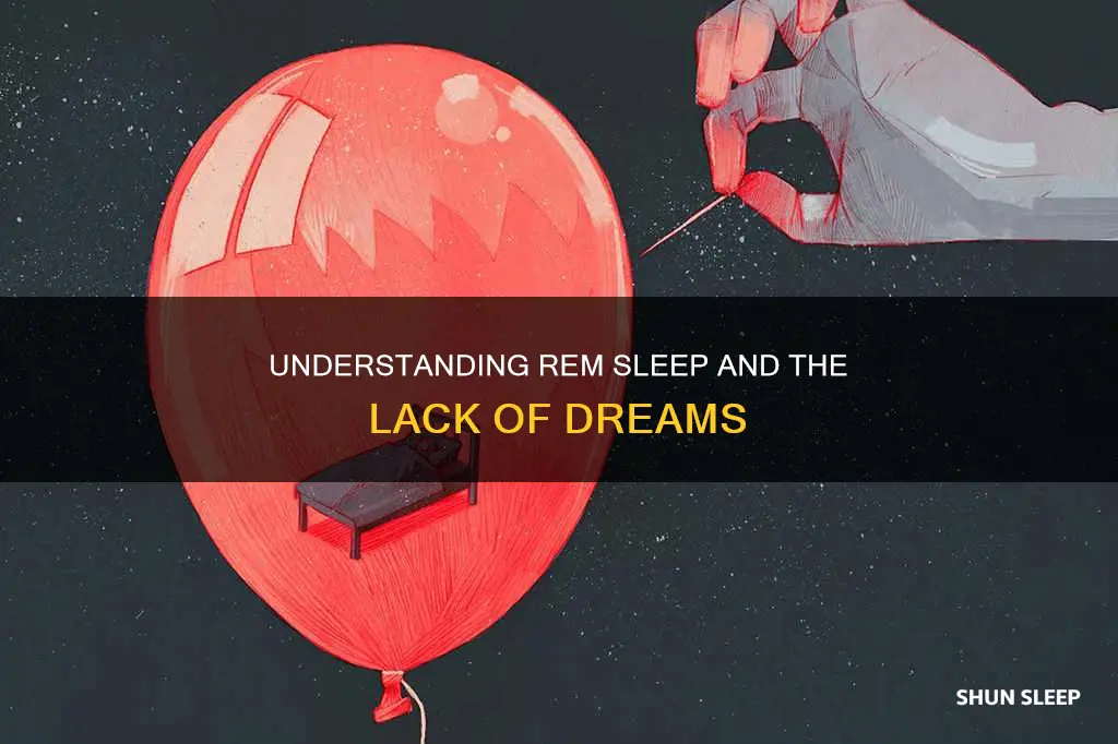 why don t i dream rem sleep