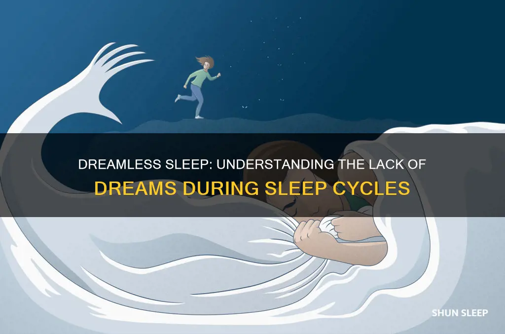 why don t i dream sleep cycles