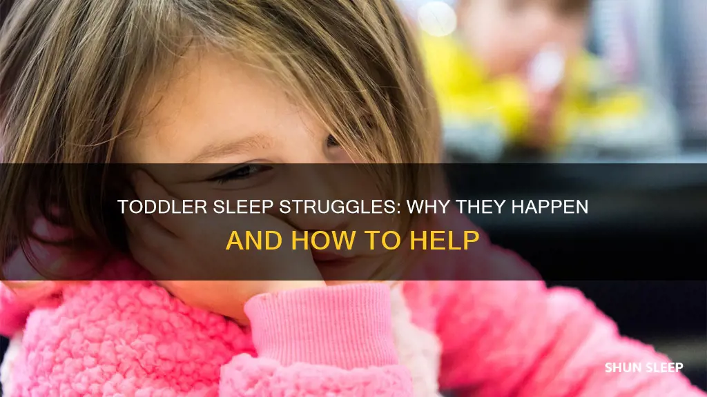 why don t toddlers sleep