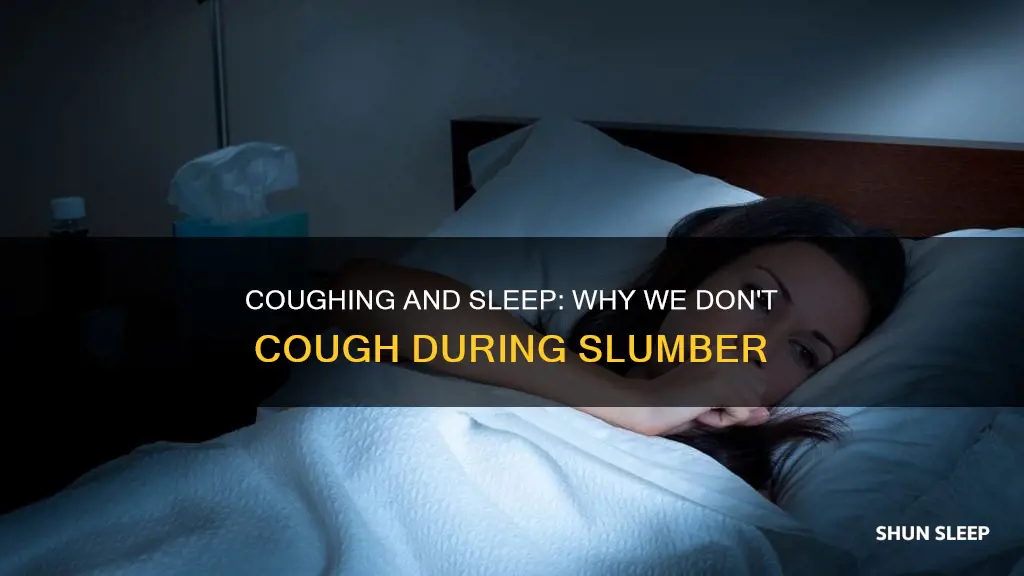 why don t we cough in your sleep